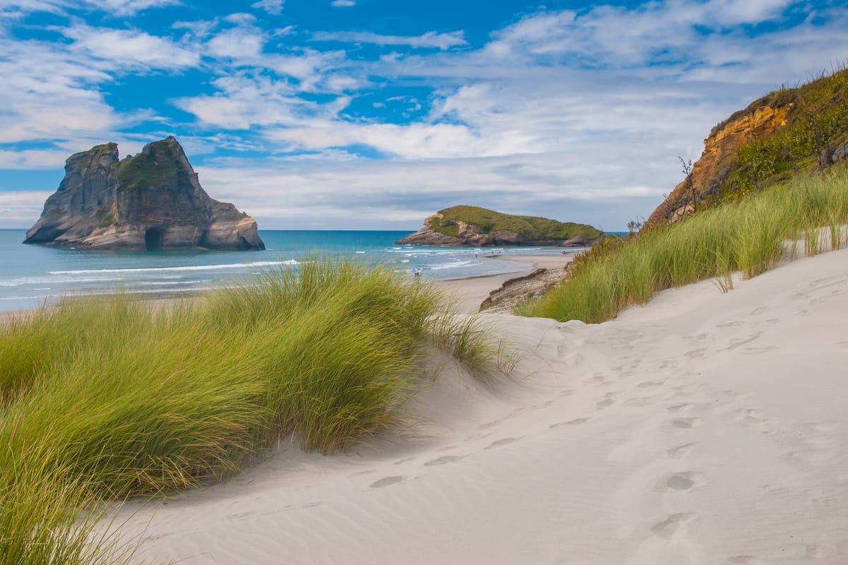 The most beautiful beaches in New Zealand | jobforvisa.com